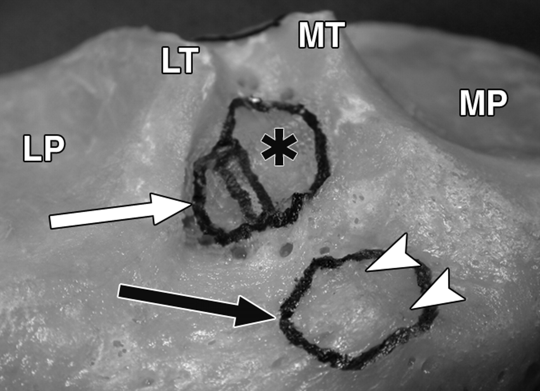 250f892f7eceac83cd55473784457a3c.jpeg 250f892f7eceac83cd55473784457a3c.jpeg