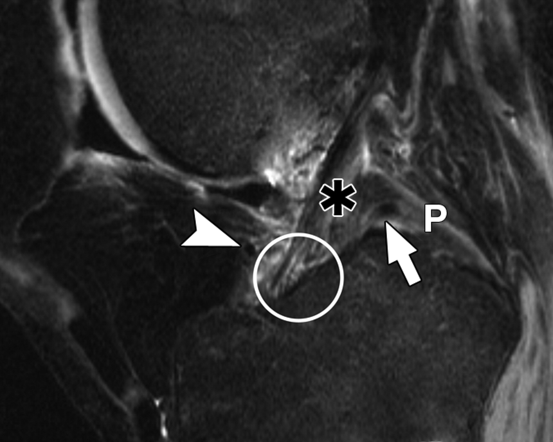 42c13cbcda85f48ee1b78f01bdc329d0.jpeg 42c13cbcda85f48ee1b78f01bdc329d0.jpeg