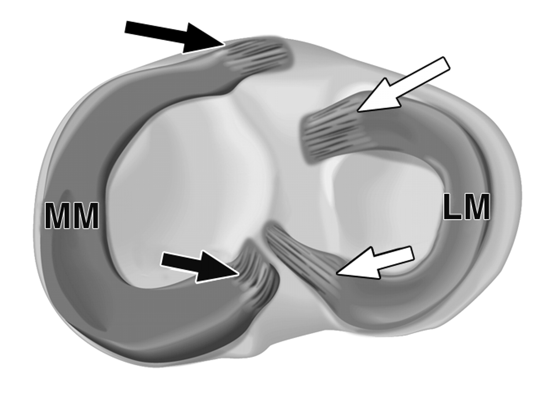 617c4971c2d99e45bcf6420a8f7c7095.jpeg 617c4971c2d99e45bcf6420a8f7c7095.jpeg