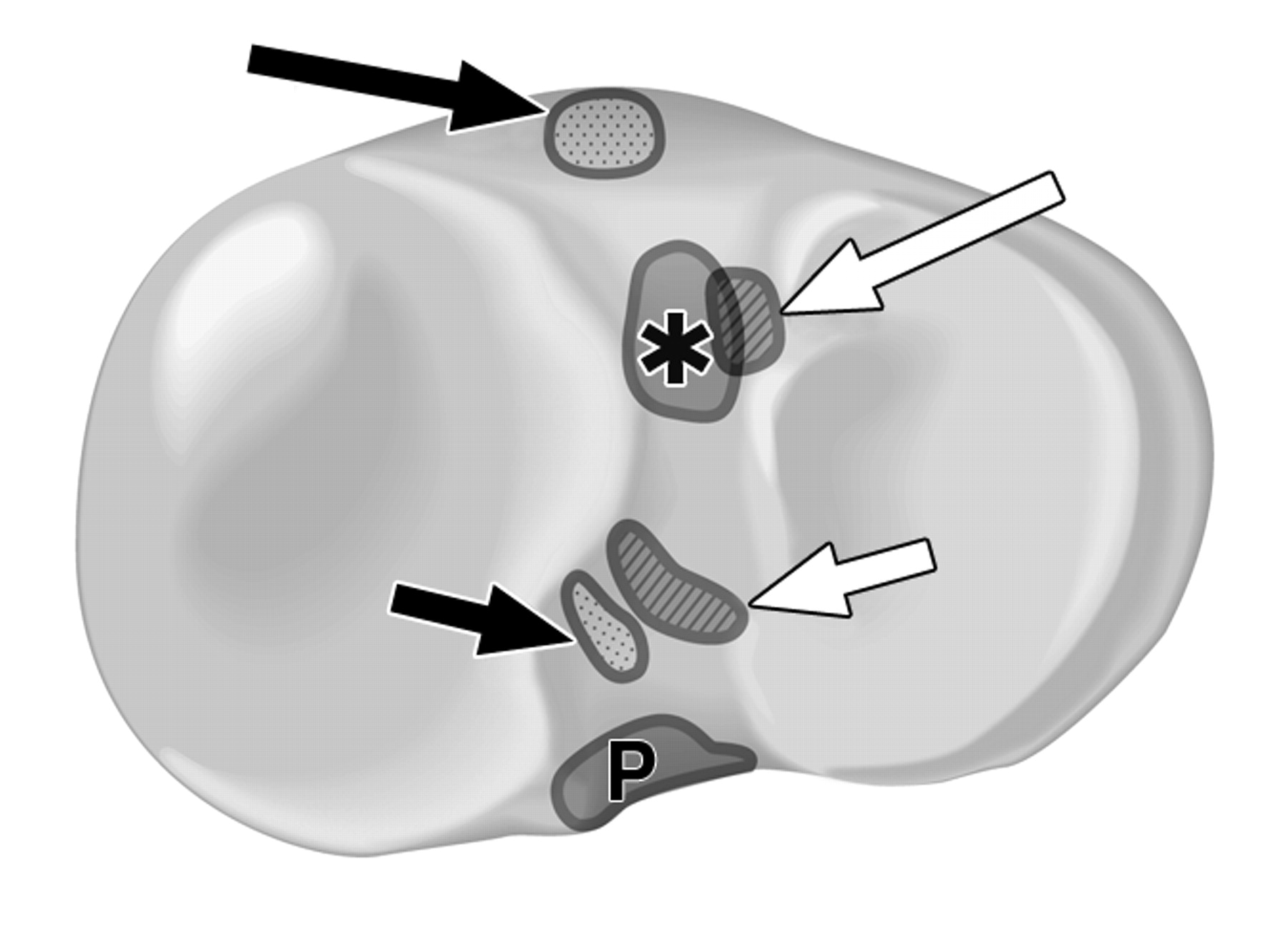 6f2db9ab6f006de86b562ba55d7d4251.jpeg 6f2db9ab6f006de86b562ba55d7d4251.jpeg