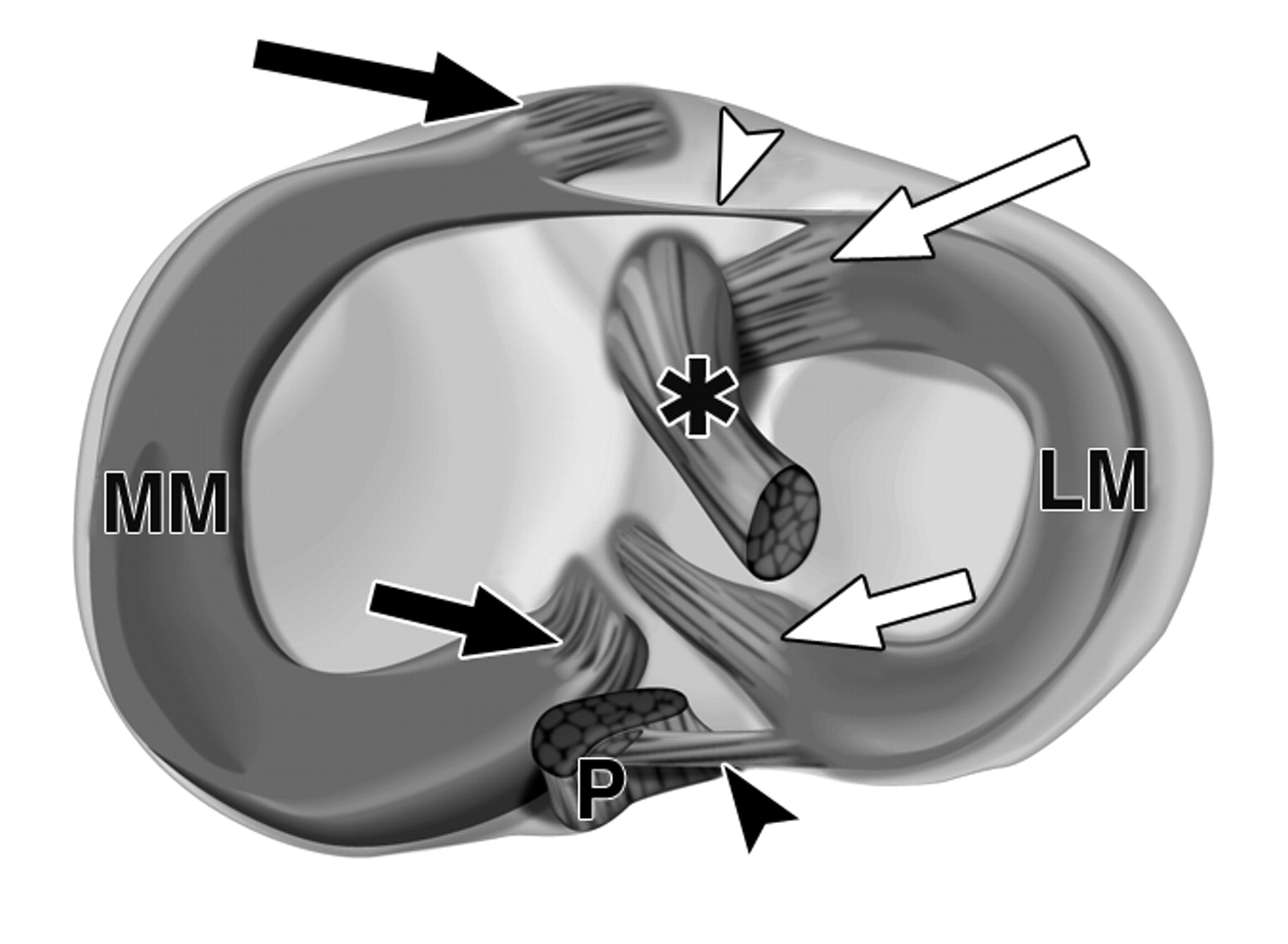 89141a96fc81e5eb8bc204b47a14e7e9.jpeg 89141a96fc81e5eb8bc204b47a14e7e9.jpeg