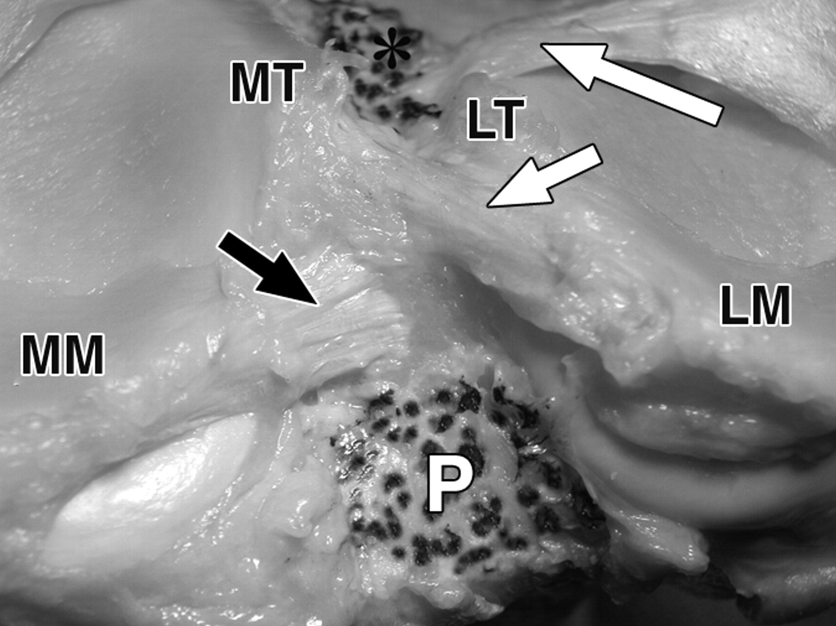 9cbb36ee1c712979ea32a2768ae4d5b4.jpeg 9cbb36ee1c712979ea32a2768ae4d5b4.jpeg
