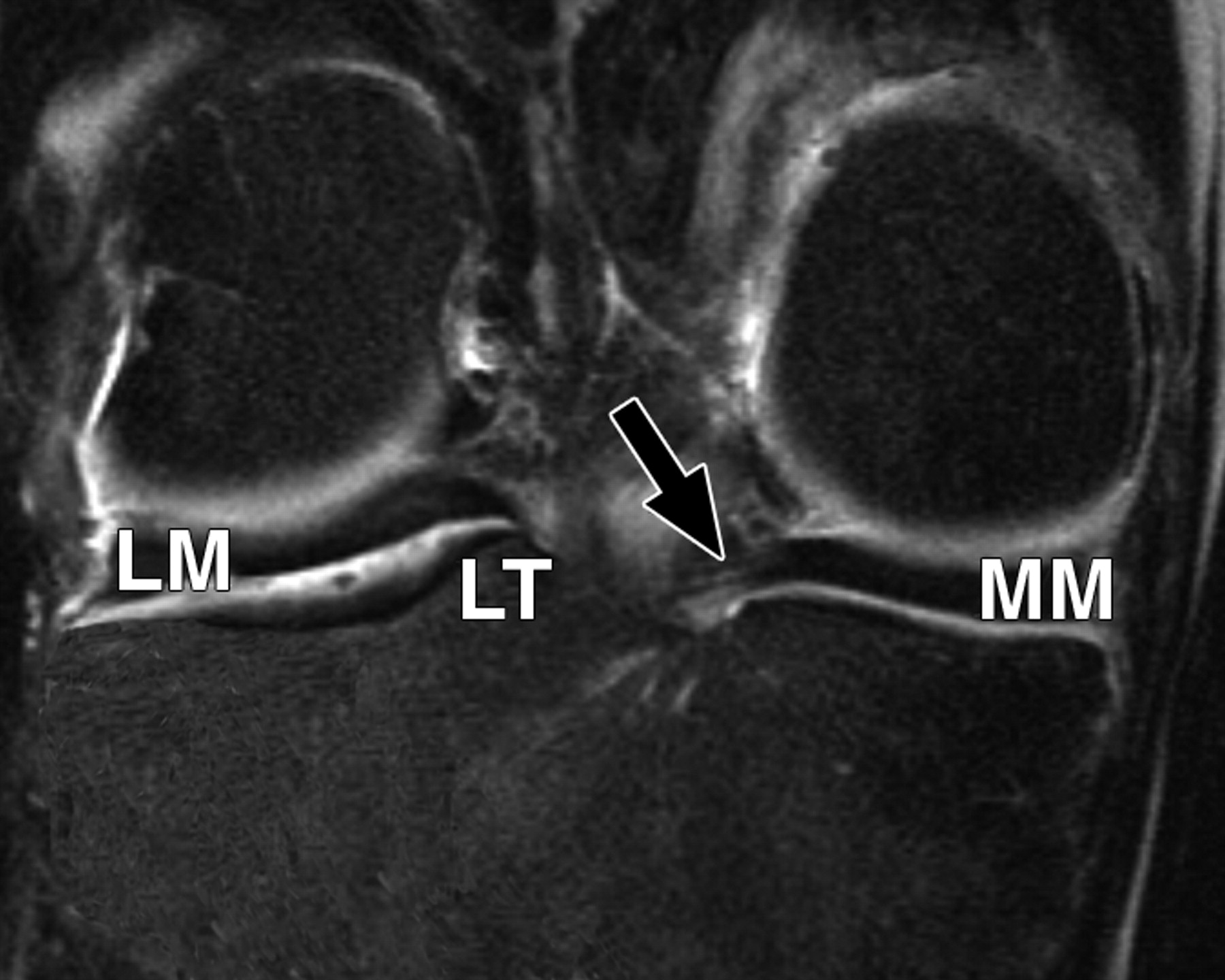 b7f7849fc4e0c575ecbf3579ea426282.jpeg b7f7849fc4e0c575ecbf3579ea426282.jpeg