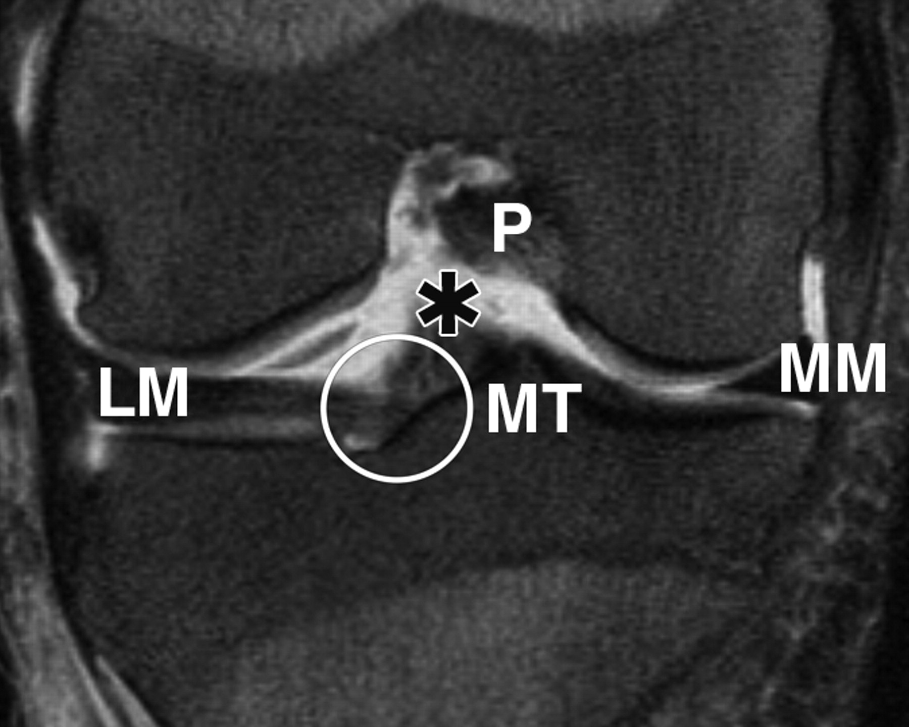 c72f940e7a2b62d20ba7c9ccc9eff2c3.jpeg c72f940e7a2b62d20ba7c9ccc9eff2c3.jpeg