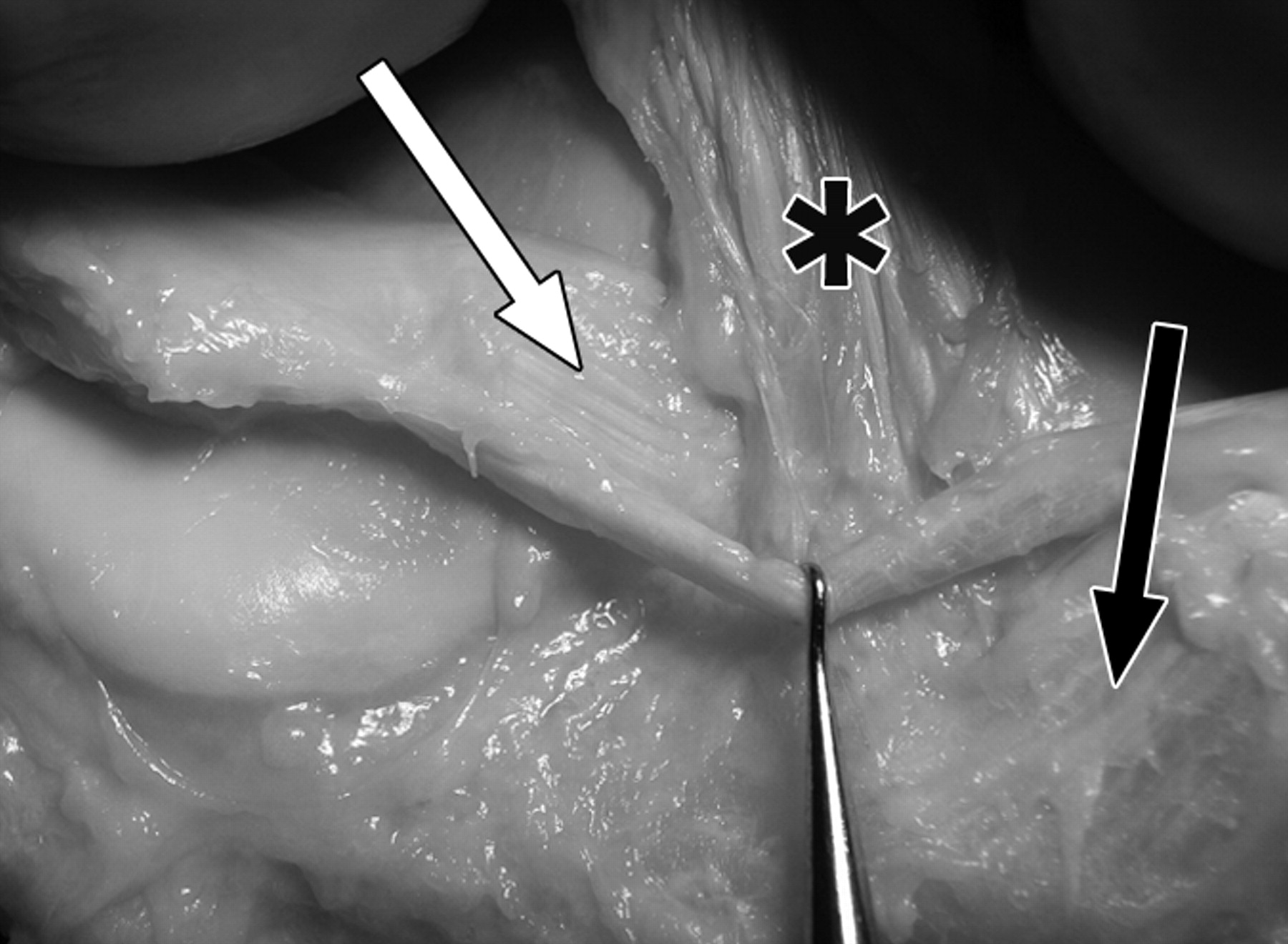 ec19cff161955ec7aeb91df2e4ee4529.jpeg ec19cff161955ec7aeb91df2e4ee4529.jpeg